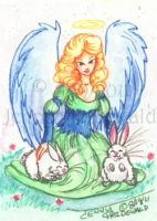 Angel Wings and Fluffy Things
